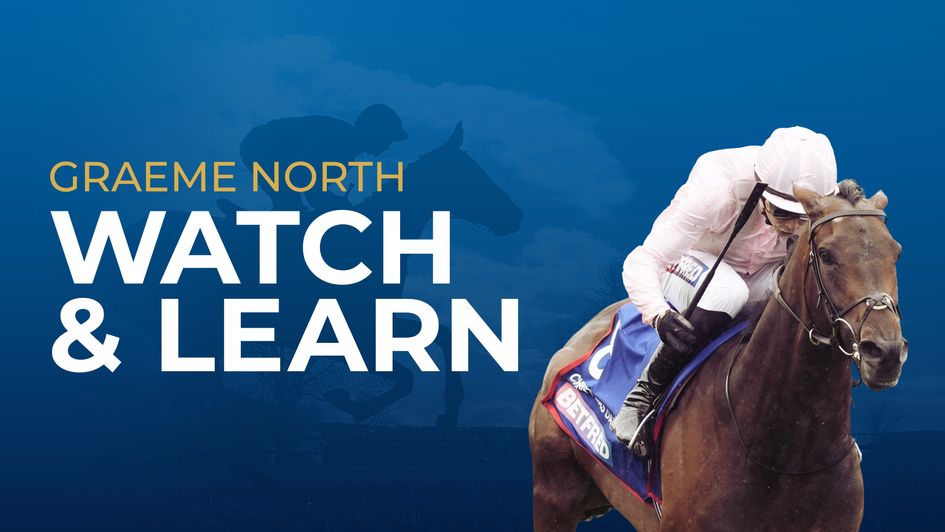 Watch And Learn on the Betfred Derby Festival