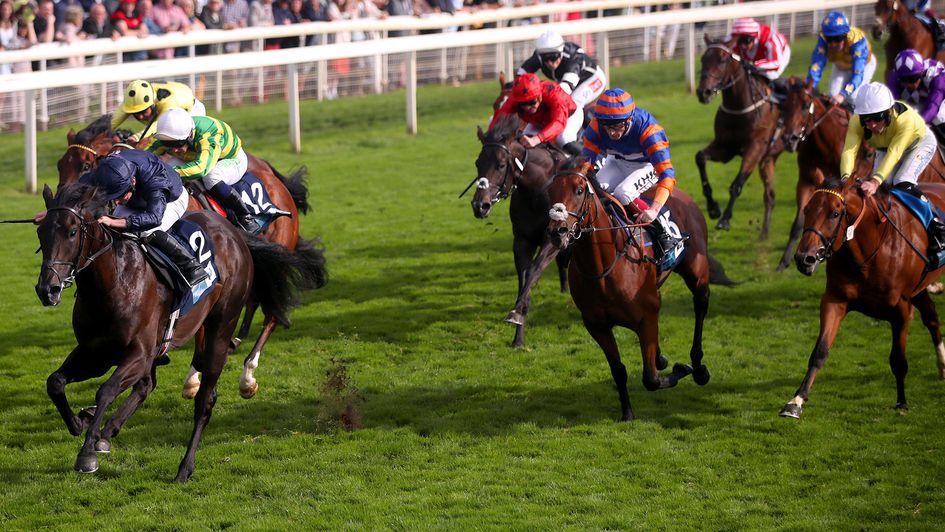 Kevin Ryan's pair both shaped with promise in York's Convivial Maiden