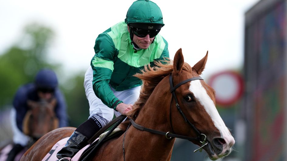 Benvenuto Cellini - favourite for the Betfred Derby