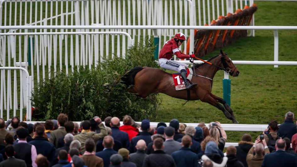 Tiger Roll is back at Cheltenham this afternoon