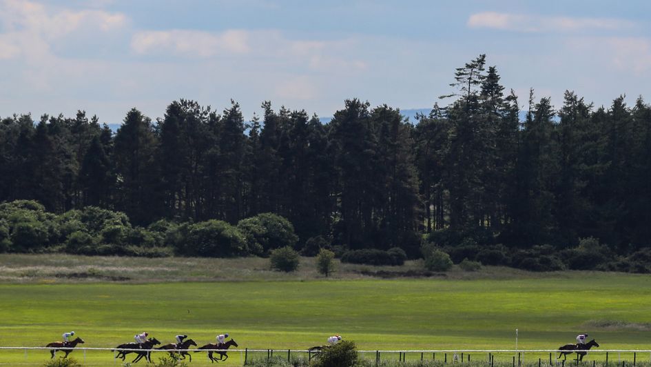 Racing at The Curragh