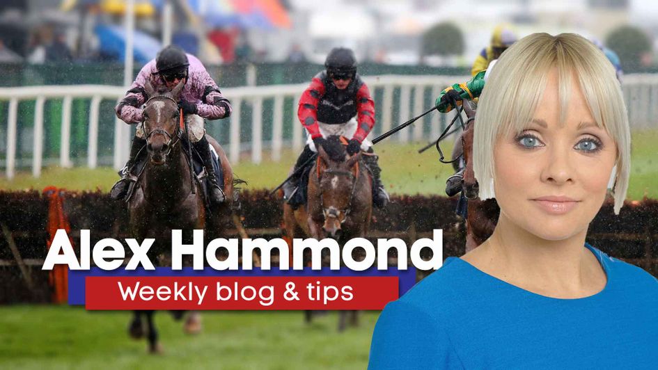 Alex Hammond looks ahead to the weekend's racing