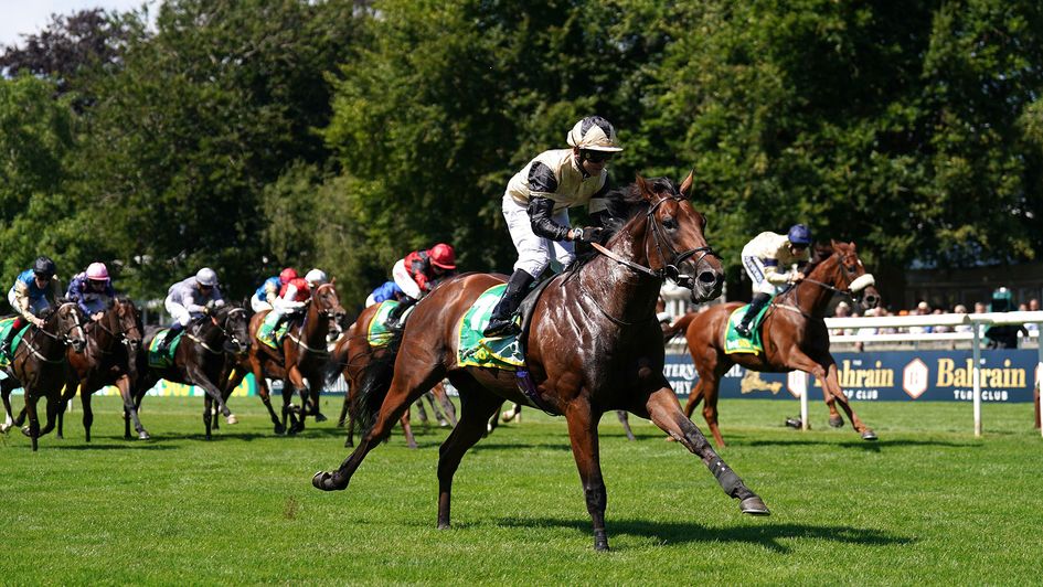 Prince Of India ridden by Marco Ghiani