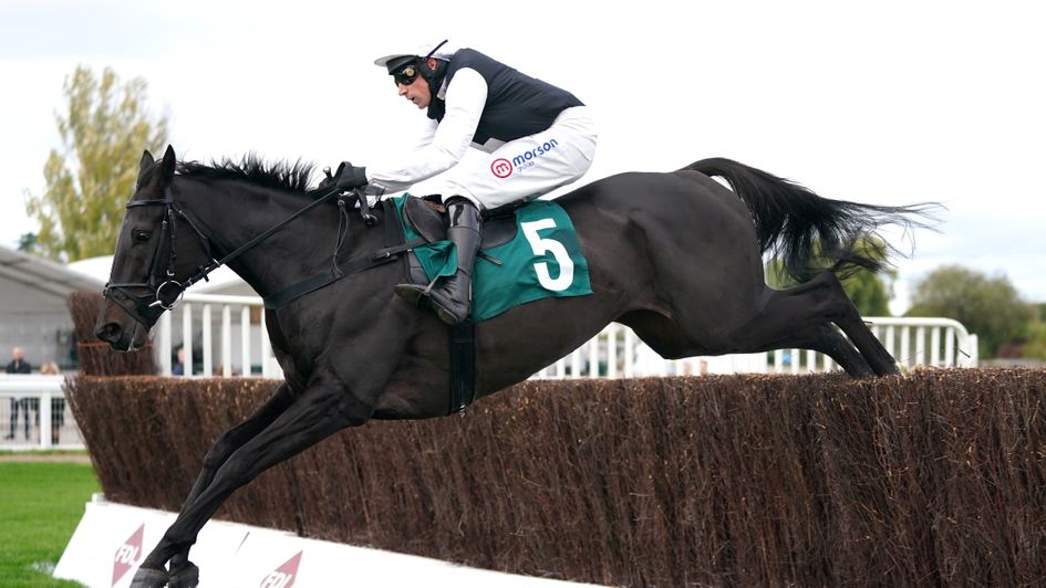 Third Time Lucki impresses at Cheltenham