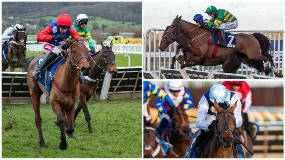 Some of the young guns in the Stayers' Hurdle