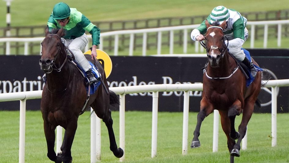 Shackleton - set to run at York