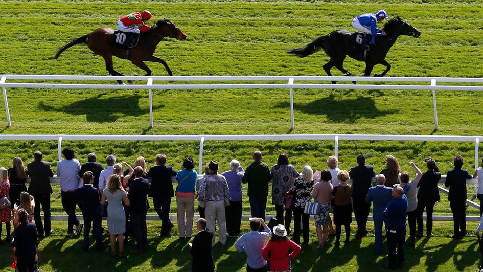 Emaraaty leads Magnificent