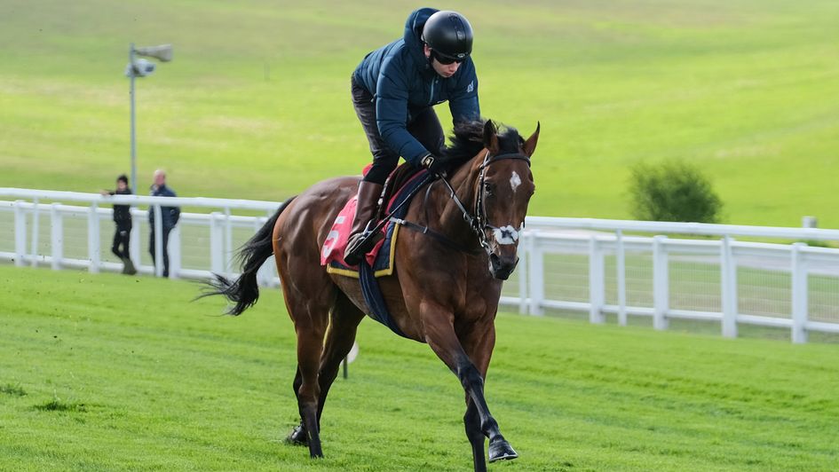 Ocean Road stretches her legs at Epsom