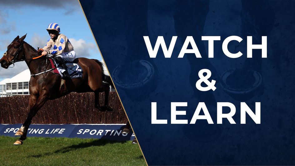 Captain Guinness: Impressive at the weekend