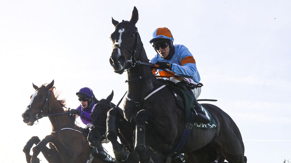 My Mate Mozzie - 12/1 for the Sky Bet Supreme