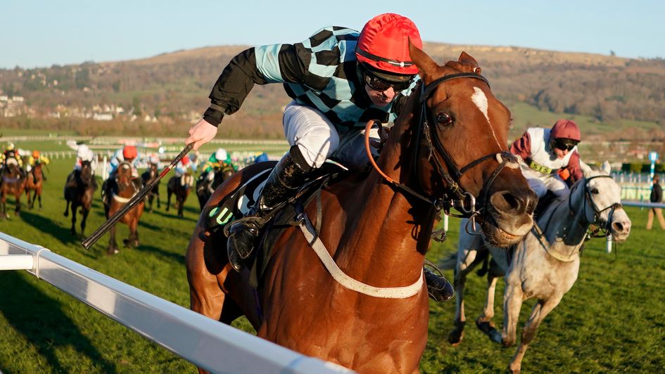 Nietzsche is a 20/1 winner of the Unibet Greatwood Hurdle