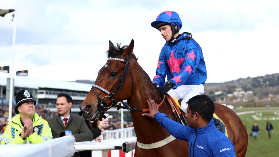 Cue Card after what proved to be his final racecourse appearance - note the applauding policeman