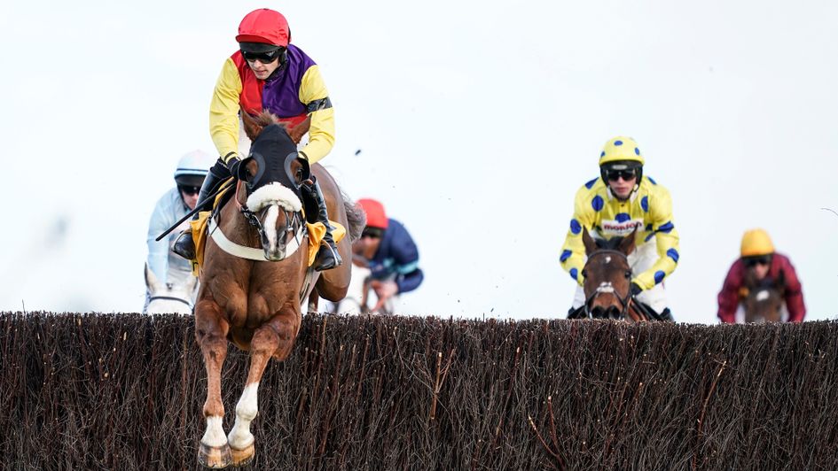 Native River under Jonjo O'Neill Jr