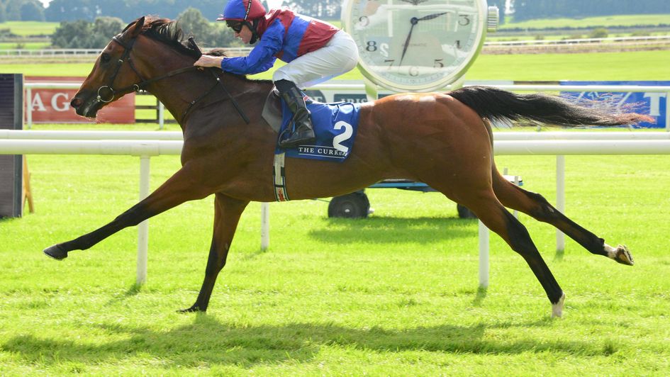 Luxembourg in action