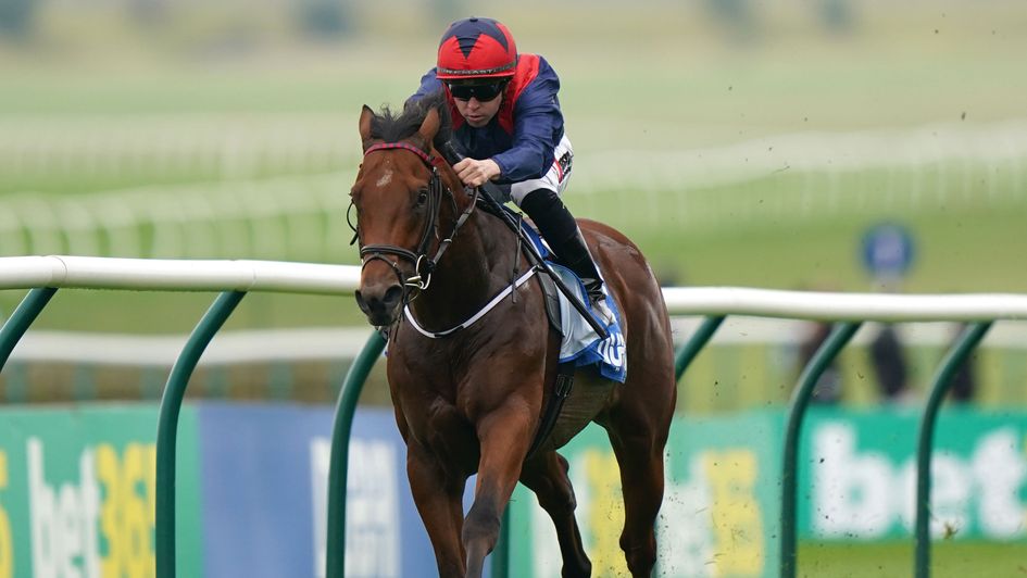 Twilight Jet wins the Cornwallis