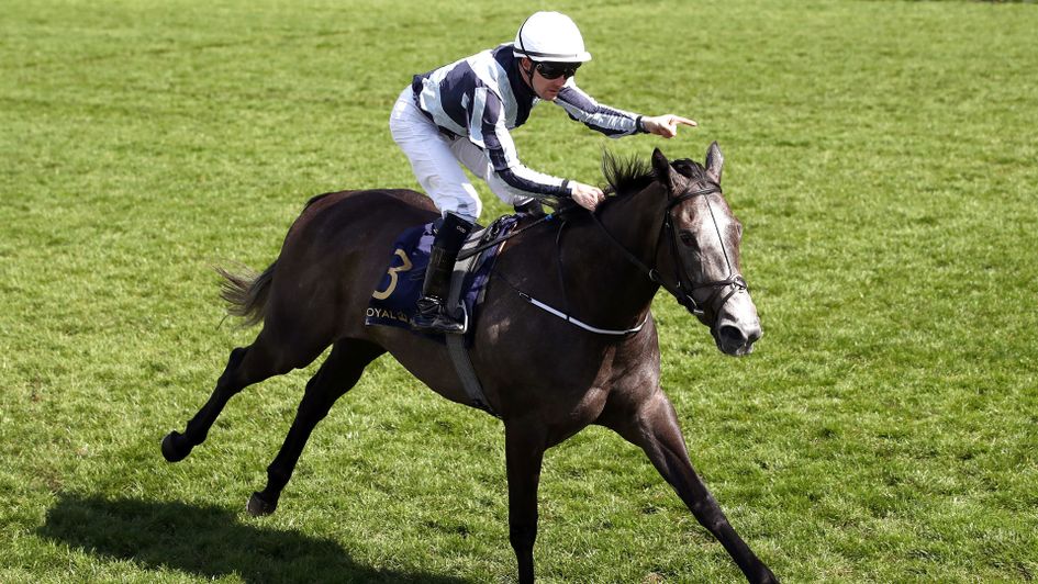 Alpha Centauri wins the Coronation Stakes by six lengths