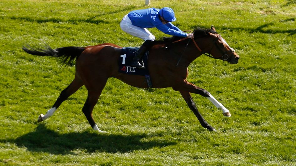 Barney Roy at Newbury