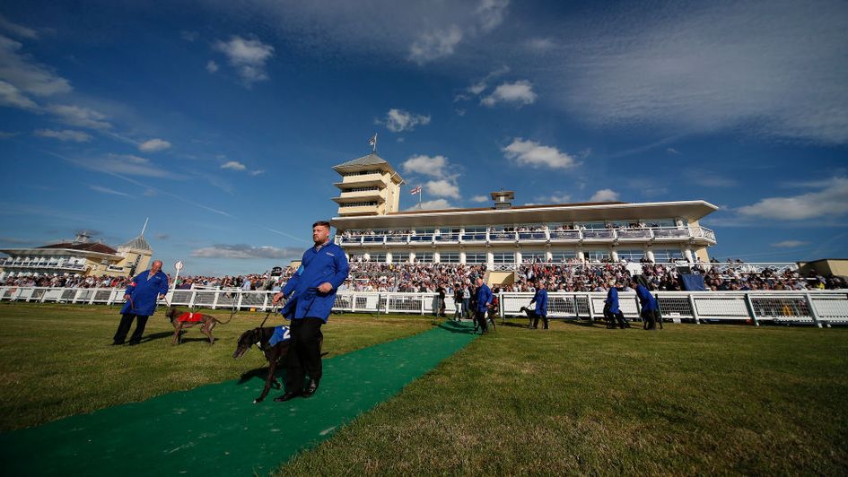 Towcester: Could soon be staging greyhound racing again