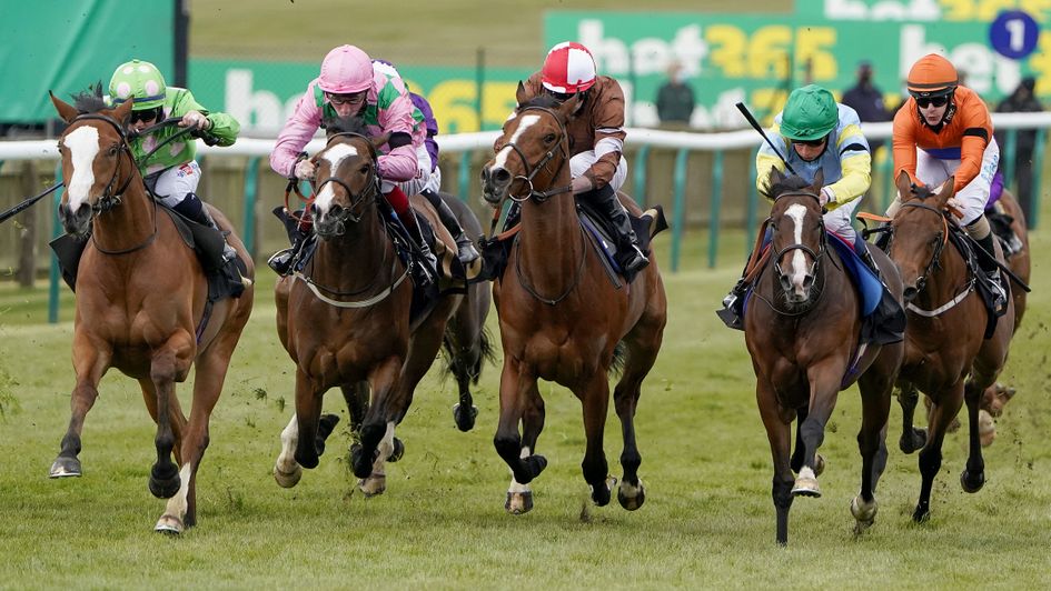 Desert Dreamer (left) springs a 25/1 surprise under Hollie Doyle