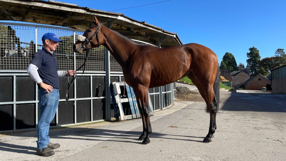 Midnight Mile looking in great shape at Musley Bank