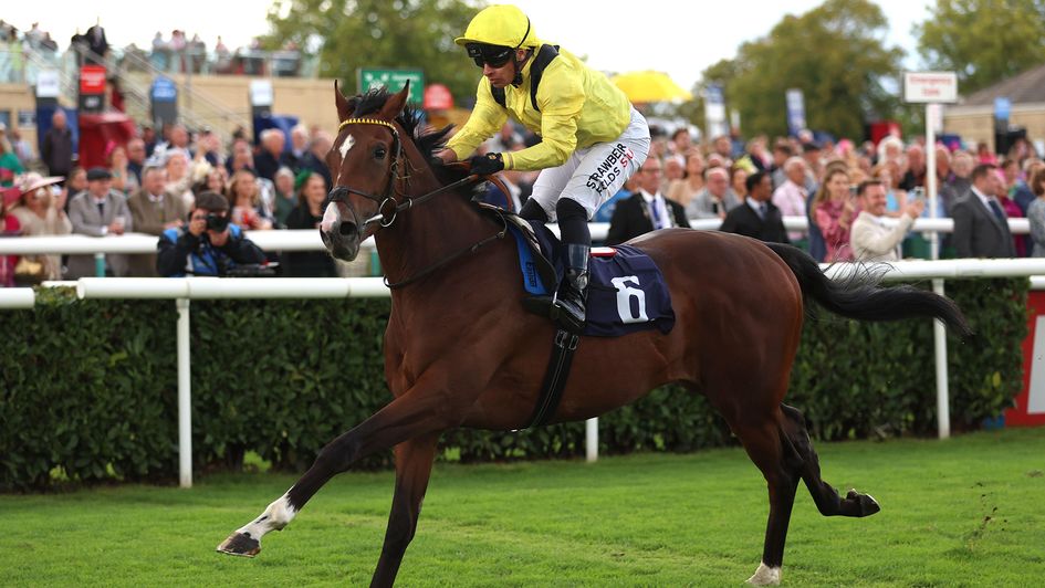 Wechaad ridden by Silvestre De Sousa