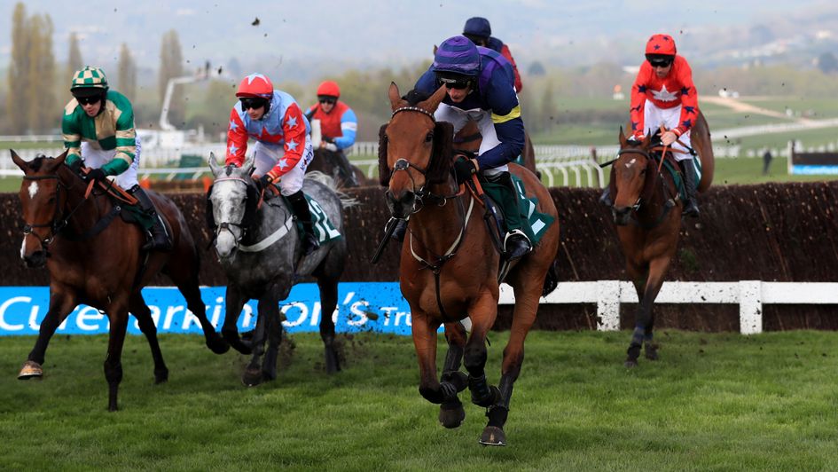 Bob Mahler in winning action at Cheltenham