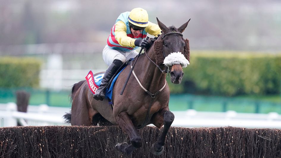 Doing Fine on his way to Cheltenham success