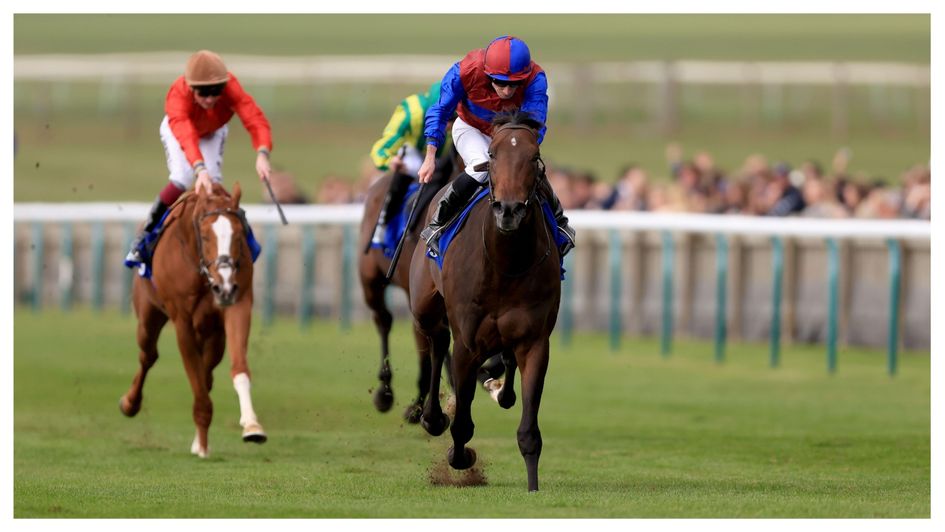 Drumbeat roars home in the Zetland