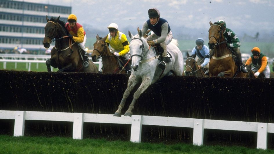 Desert Orchid winning the Cheltenham Gold Cup