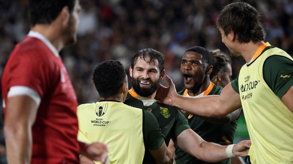 Cobus Reinach celebrates with team-mates