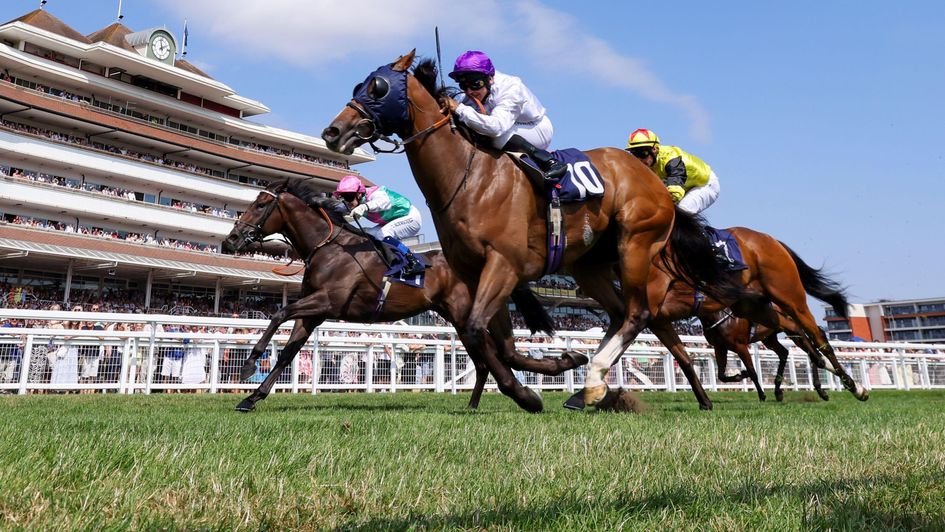 Rhythm N Hooves (nearside) holds on at Newbury