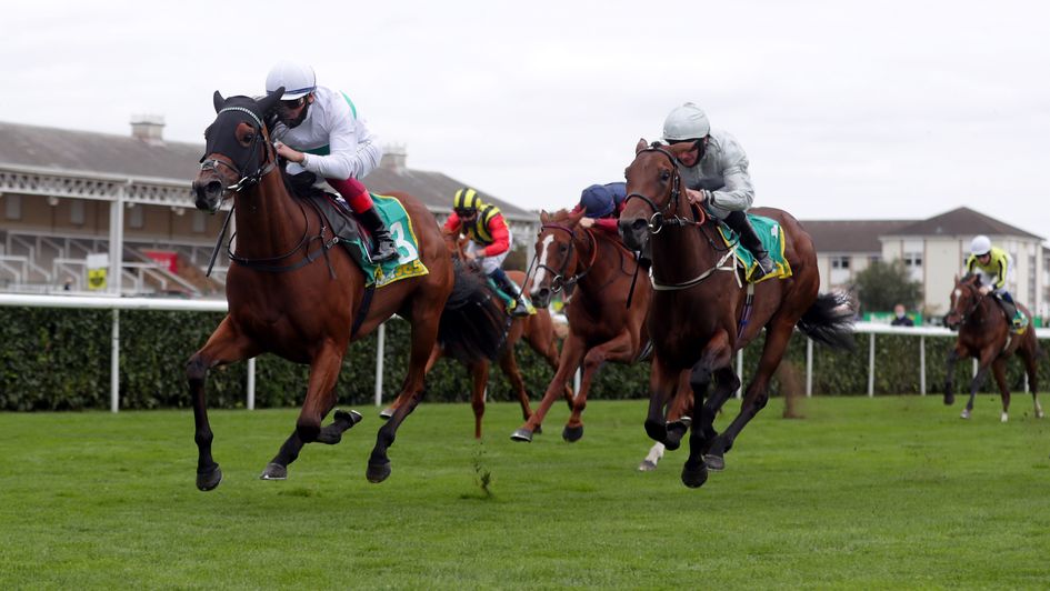 Indigo Girl is too good in the May Hill