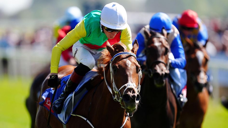 Kon Tiki wins at York