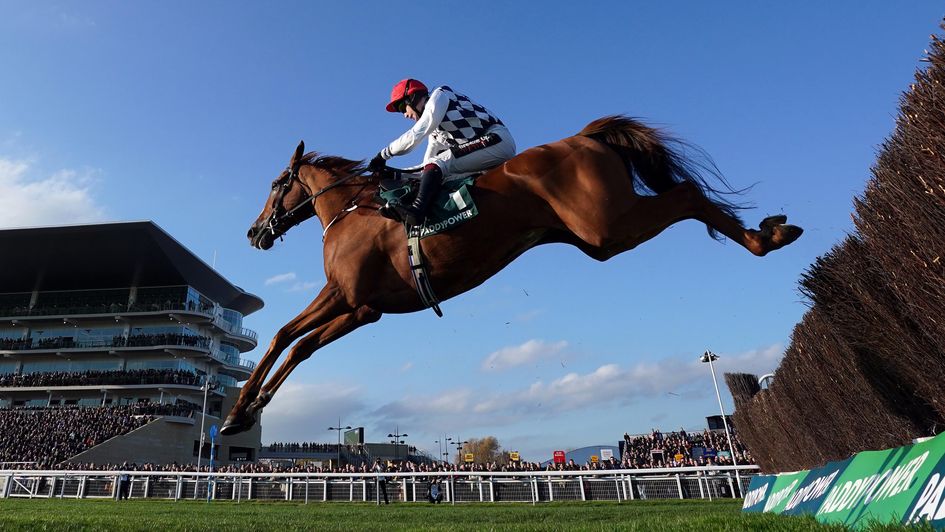 Banbridge impresses at Cheltenham