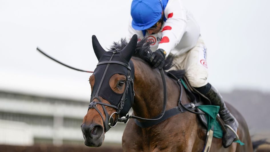 Protektorat is clear of his rivals at Cheltenham