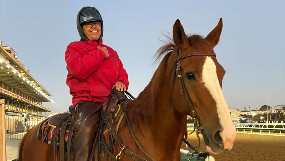 The optimistic muffin stealer (horse, not man)