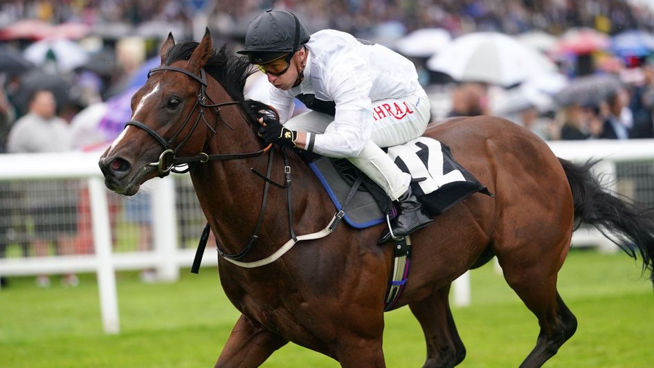 An impressive display from Sketch at Newbury