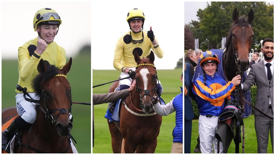 Some of the Timeform ratings risers