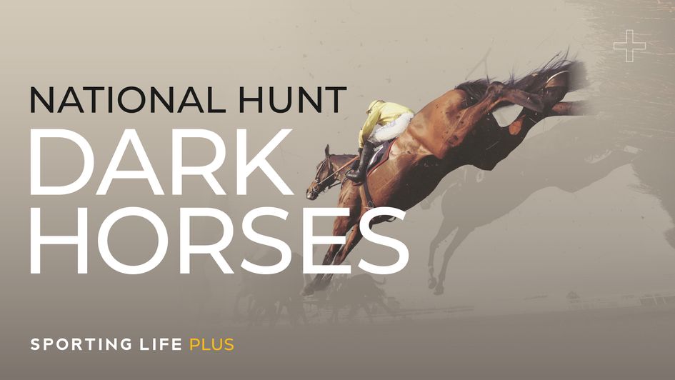 Get the inside word on from the yard