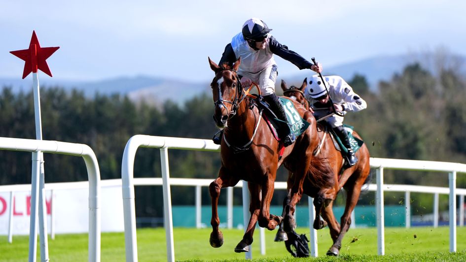 Sermandzarak wins the Goffs Defender Bumper