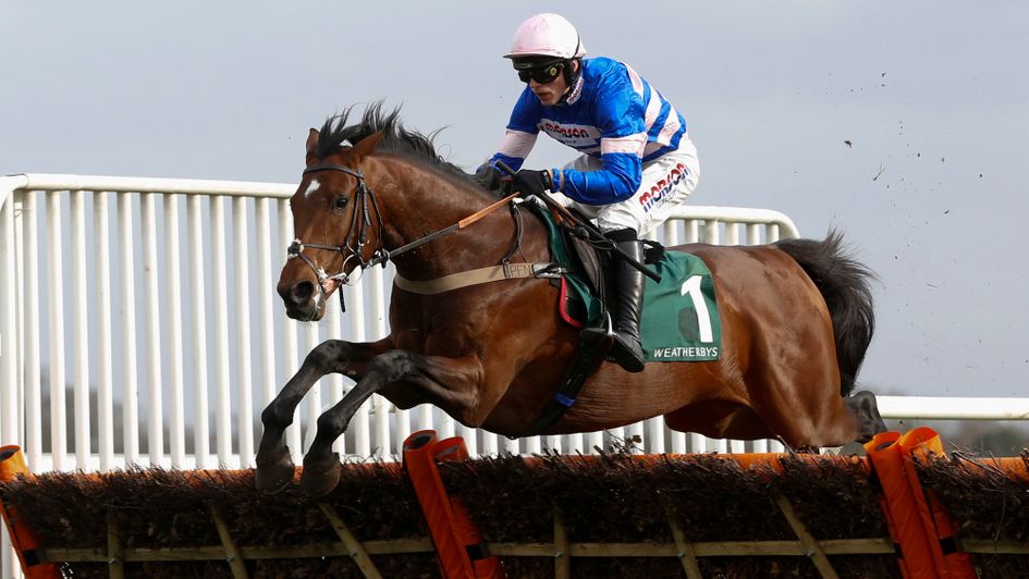 Solo wings the last in the Adonis