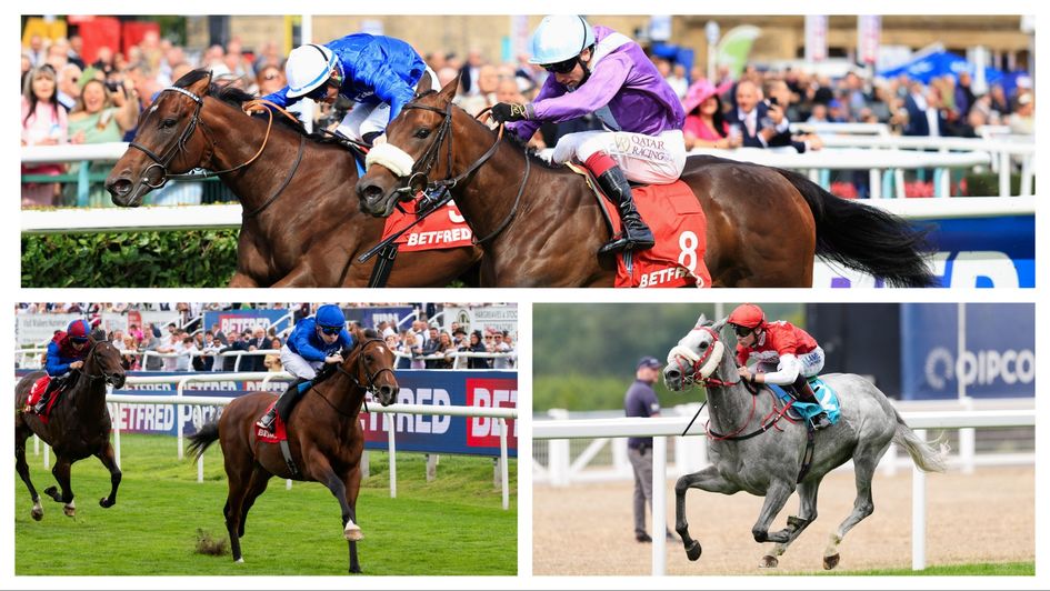 Some of this weekend's key runners