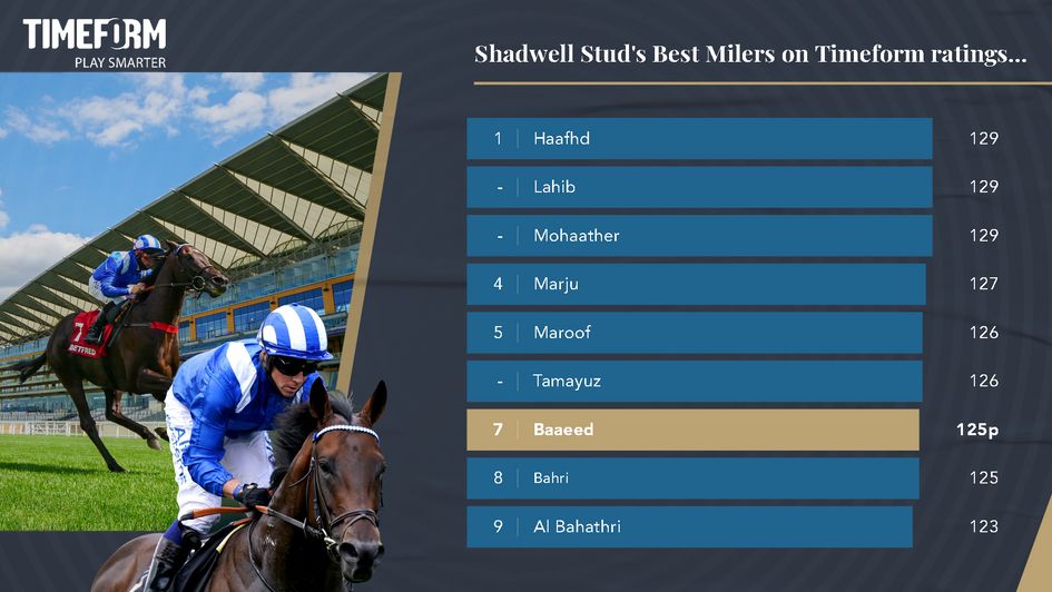 The Shadwell milers by Timeform ratings...