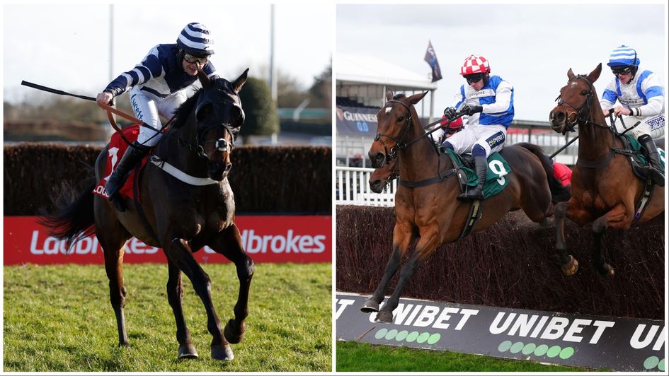 Ladbrokes Trophy horse-by-horse guide and tip