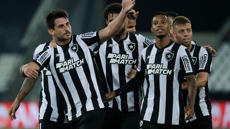 Botafogo are flying high in Brazil's Serie A
