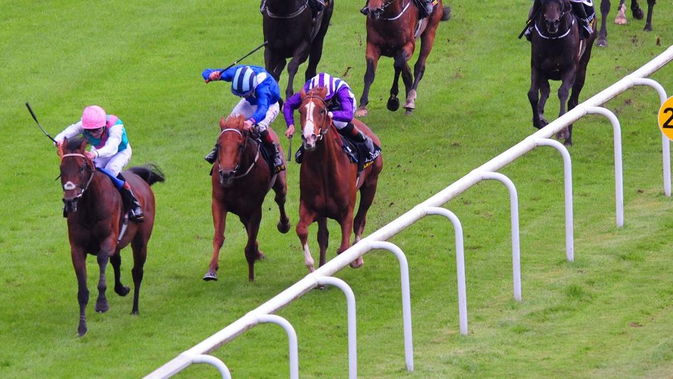 Kingman winning the Irish 2000 Guineas
