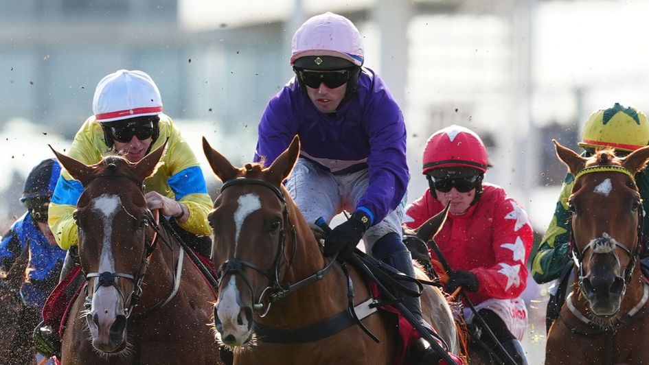 Downmexicoway - can land Kerry National