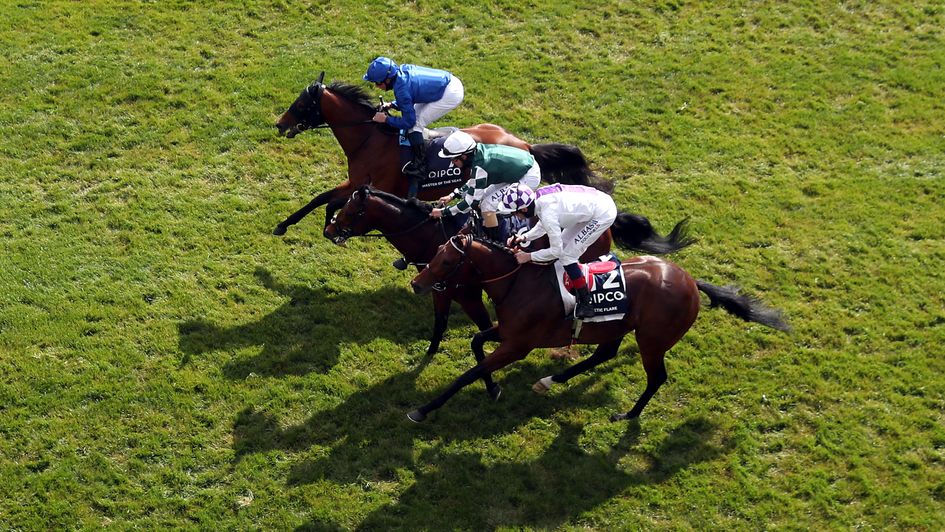 The colts who had the QIPCO 2000 Guineas to themselves