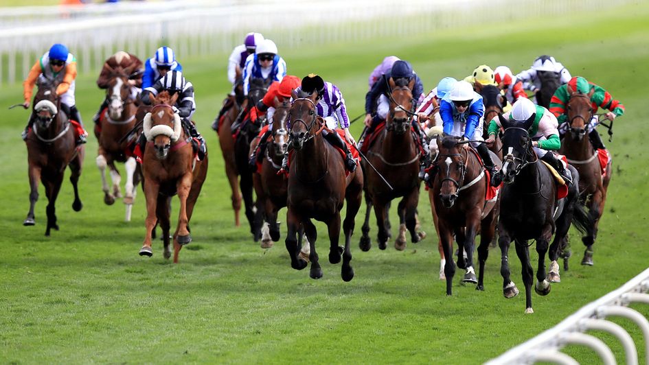 Here Comes When wins at York