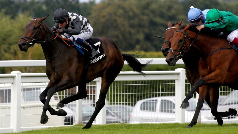 Lavender's Blue scoots to victory under Jim Crowley